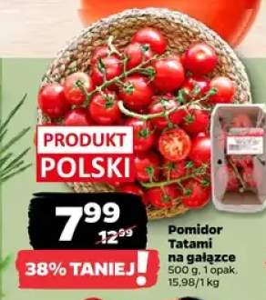 Pomidor Tatami na gałązce
