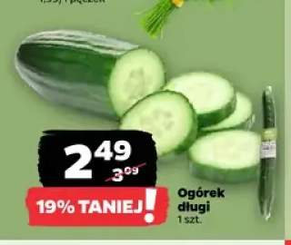 Ogórek długi
