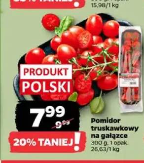 Pomidor truskawkowy na gałązce