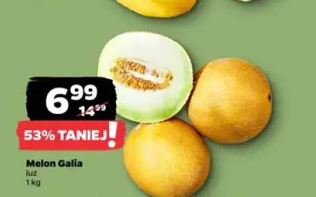 Melon Galia