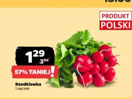 Rzodkiewka