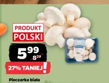 Pieczarka biała