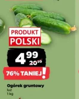 Ogórek gruntowy