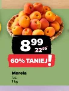 Morela