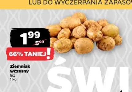 Ziemniak wczesny luz