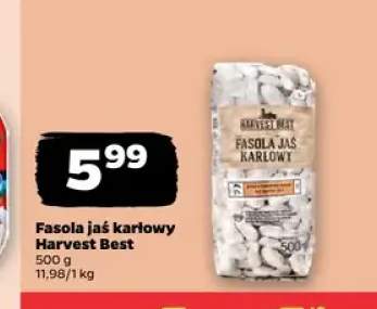 Fasola jaś karłowy Harvest Best