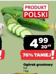 Ogórek gruntowy