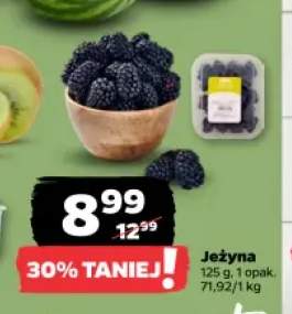 Jeżyna