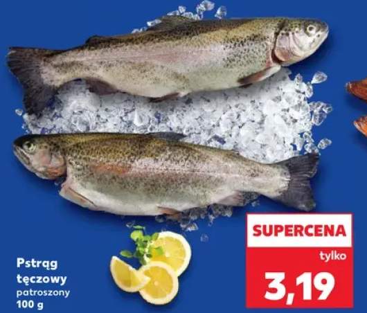 pstrąg tęczowy