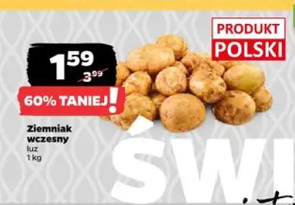 Ziemniak wczesny luz