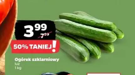 Ogórek szklarniowy