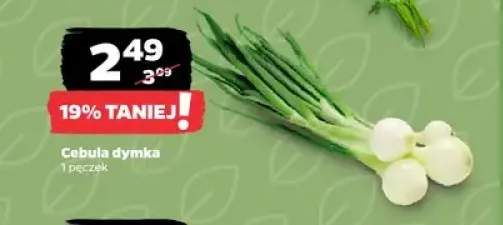 Cebula dymka