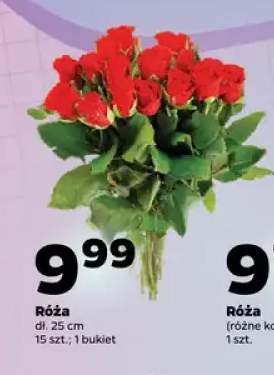 Róża bukiet