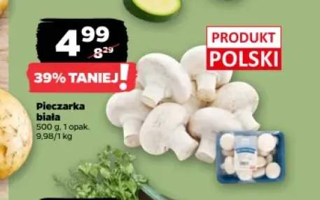 Pieczarka biała polska
