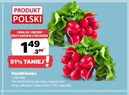 Rzodkiewka
