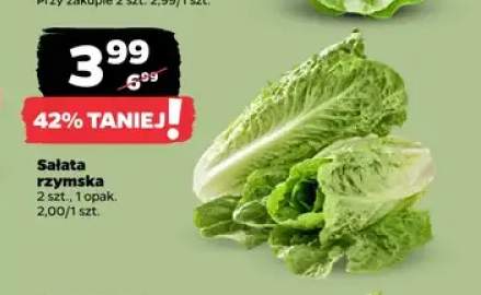 Sałata rzymska