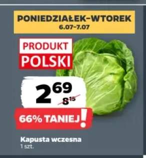 Kapusta wczesna