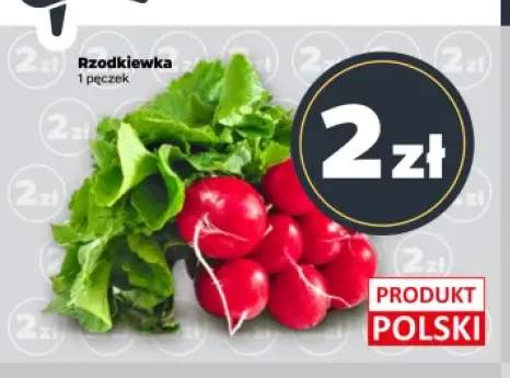 Rzodkiewka polska