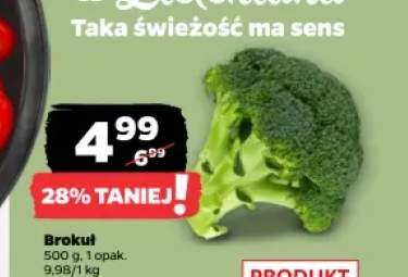 Brokuł
