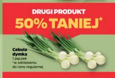 Cebula dymka