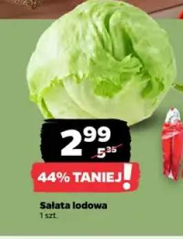 Sałata lodowa