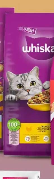 Karma sucha dla kotów Whiskas z kurczakiem
