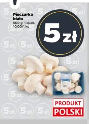 Pieczarka biała