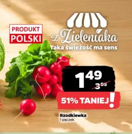 Rzodkiewka polska