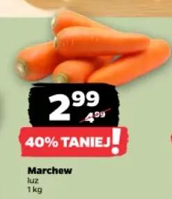 Marchew luz