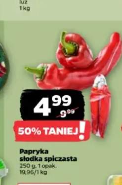 Papryka słodka spiczasta