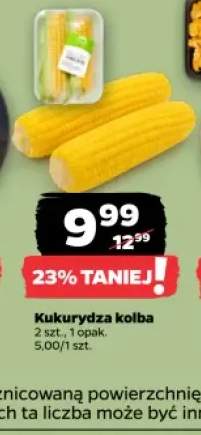 Kukurydza kolba