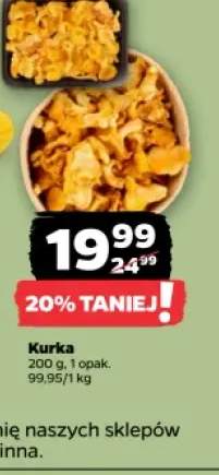 Kurka