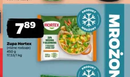 Zupa wiosenna Hortex