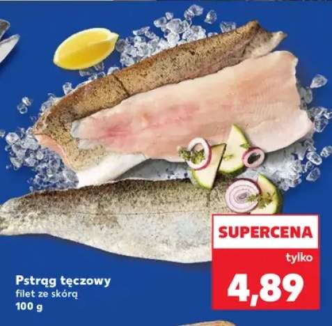 pstrąg tęczowy
