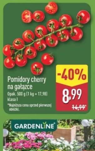 pomidory cherry