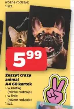 Zeszyt crazy animal A4 60 kartek w linię Herlitz +1 wariant