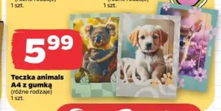 Teczka animals A4 z gumką Herlitz