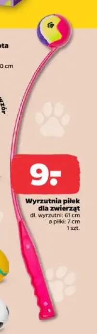 Wyrzutnia piłek dla zwierząt