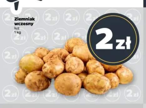 Ziemniak wczesny luz