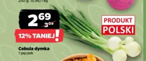Cebula dymka Z Zieleniaka