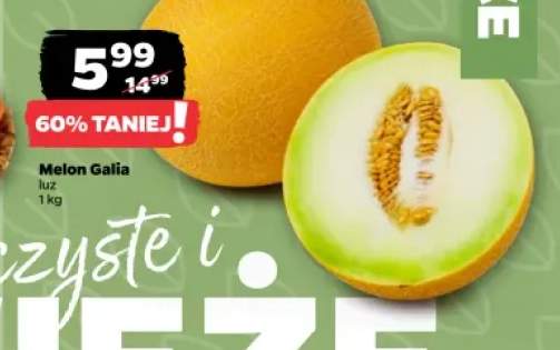 Melon Galia