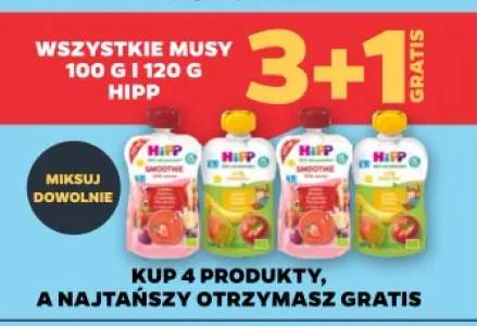 Musy 100 g i 120 g Hipp +4 warianty
