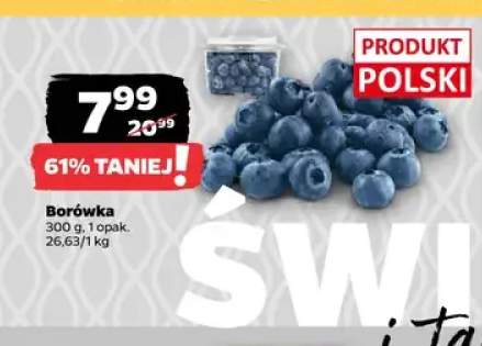 Borówka