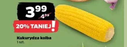 Kukurydza kolba
