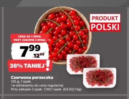 Porzeczka czerwona