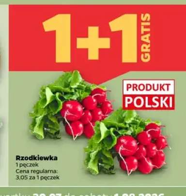 Rzodkiewka
