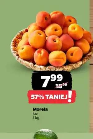 Morela luz