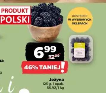 Jeżyna