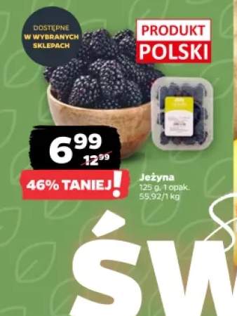 Jeżyny polskie