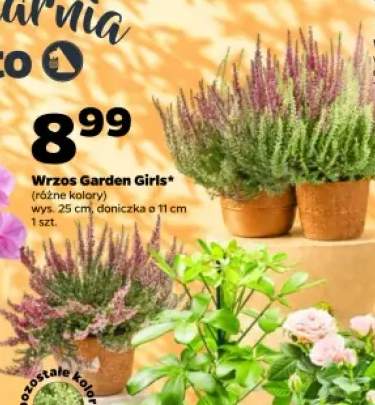 Wrzos Garden Girls